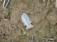 6-25 finds.webp