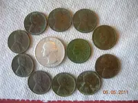 DSCN4841.webp