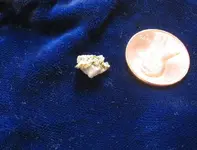 small nugget.webp