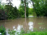 ground level view of flooding.webp