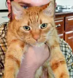Bobby.webp