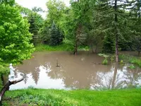 side yard.webp