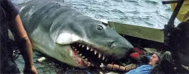 jaws-main.webp