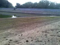 lake club 2.webp
