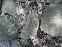 IMG00039-20110724-1230.webp