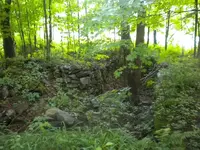 052.webp