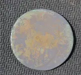 Clean Back (1).webp