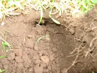 6-5-11 025.webp