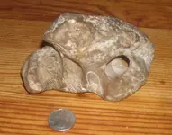 unknow-object-1.webp