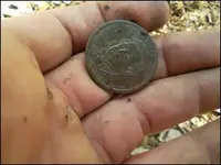 $1 coin.webp