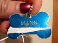 Mars found LOL 004.webp
