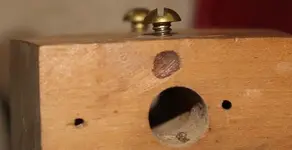 wood.screw.on.side.webp