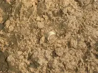 4th insitu1.webp