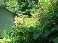 100_0556.webp