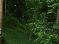 100_0524.webp