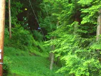 100_0524.webp