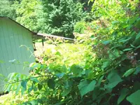 100_0556.webp