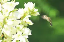 DSC05064.webp