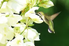 DSC05066.webp