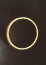 wedding ring.webp