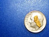 California nugget.webp