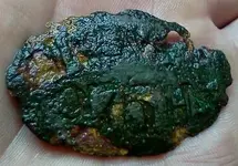 july 6th find crusty.webp