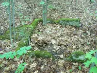 103_0154.webp