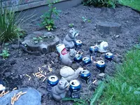 6-5-11 045.webp