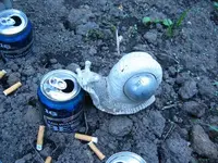 6-5-11 048.webp