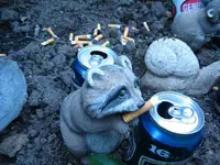 6-5-11 047.webp