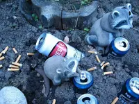 6-5-11 049.webp