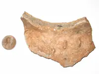 Pottery.webp