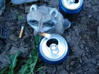 6-5-11 050.webp