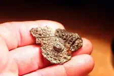 NH FINDS 06-25 004.webp
