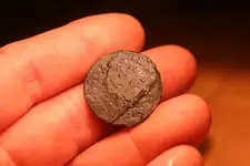 NH FINDS 06-25 009.webp