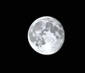 acne moon.webp
