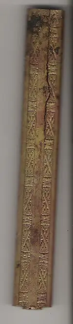 unknown_tube[2].webp