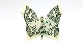 Butterfly.webp