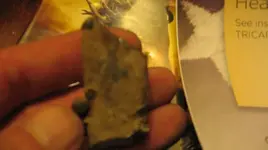 silver ingot 003.webp