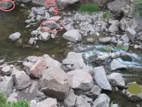 riverrock.webp