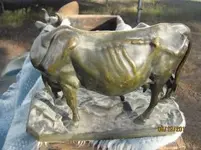 skinny cow2.webp