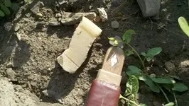 2011-08-03 5.webp