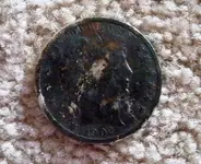 nat 1961.webp