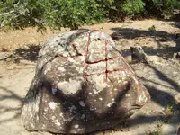 face.webp