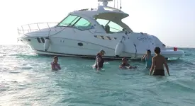 125_0234.webp
