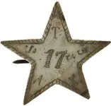 Civil War Texas Star Pin.webp