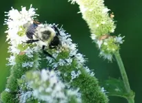 DSC05472.webp