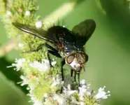 DSC05477.webp
