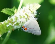 DSC05500.webp