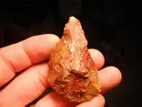 DSCF0460.webp